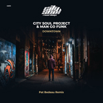 City Soul Project
