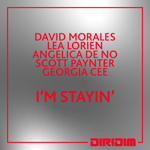 David Morales