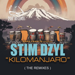 Stim Dzyl