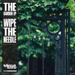 Wipe The Needle