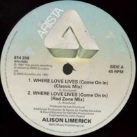 Alison Limerick